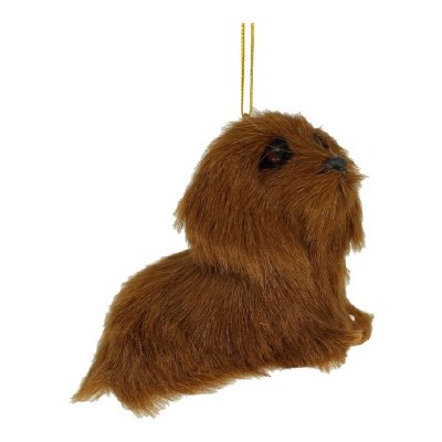 BROWN FLUFFY DOG