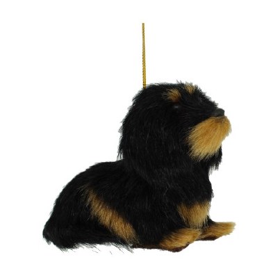 BLACK W/BROWN SPOTS FLUFFY DOG