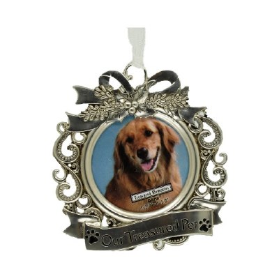 OUR TREASURED PETS