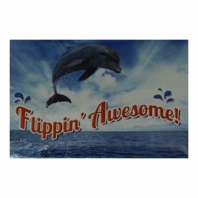 FLIPPEIN AWESOME