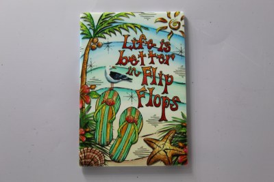 FLIP FLOP LIFE
