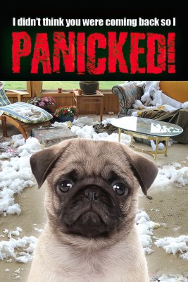 I DIDNT THINK YOU WERE COMING