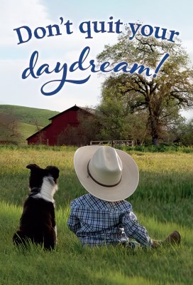 DONT QUIT YOUR DAYDREAM