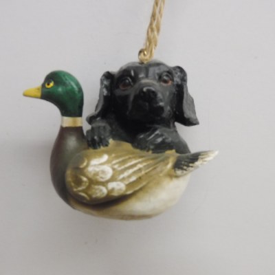 LAB AND MALLARD DUCK