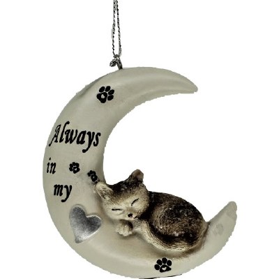 CAT ON MOON ALWAYS IN MY HEAR