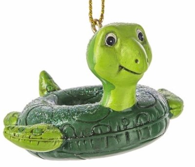 TURTLE FLOATIE