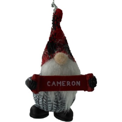 CAMERON