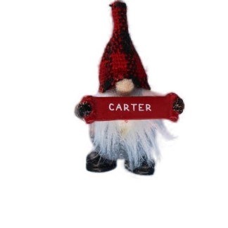 CARTER GNOME