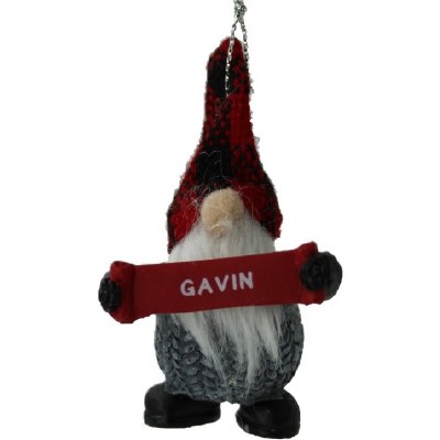 GAVIN