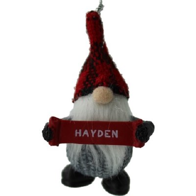 HAYDEN