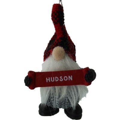 HUDSON
