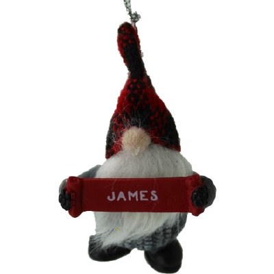 JAMES