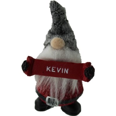 KEVIN