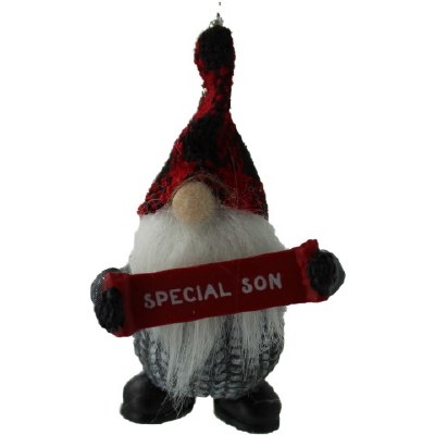 SPECIAL SON