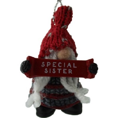 SPECIAL SISTER