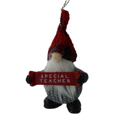 SPECIAL TEACHER