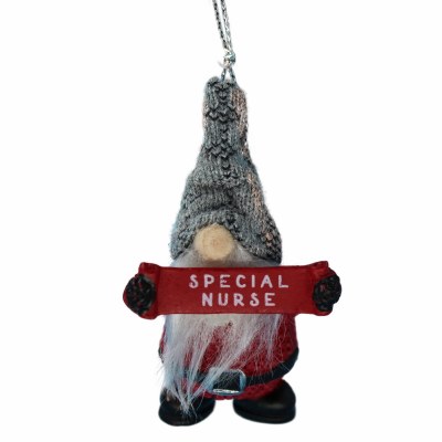 SPECIAL NURSE