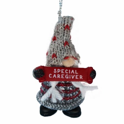 SPECIAL CAREGIVER