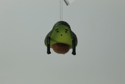 AVOCADO YOGA