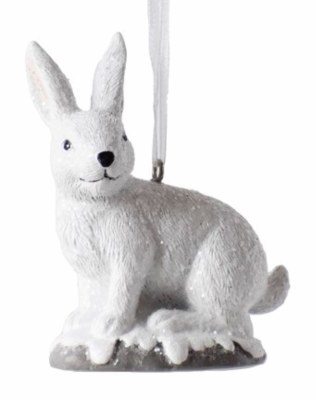 SNOW RABBIT