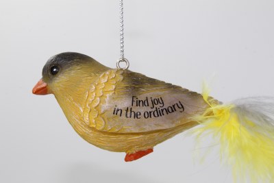 FIND JOY IN THE ORDINARY
