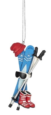SKIES, BOOTS, HAT, GOGGLES