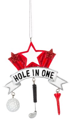 HOLE IN ONE