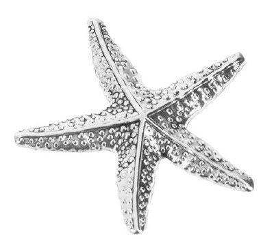 STARFISH CHARM