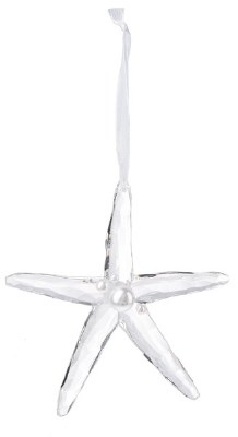 CLEAR STARFISH