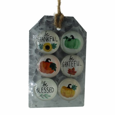6 PACK MAGNETS
