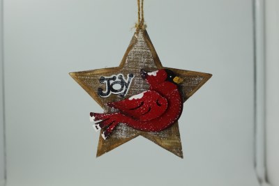 CARDINAL ON STAR