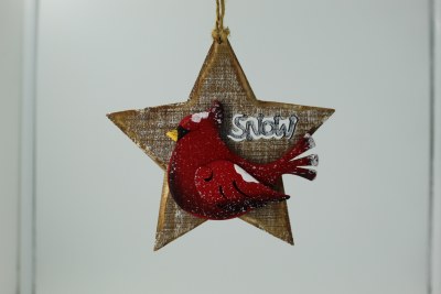 SNOW STAR CARDINAL