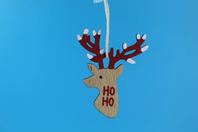 RED REINDEER
