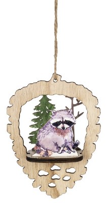 RACCOON