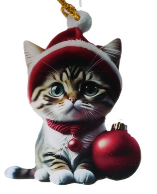 RED BALL CAT