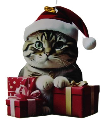 PRESENT CAT