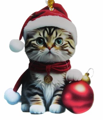 RED BALL CAT