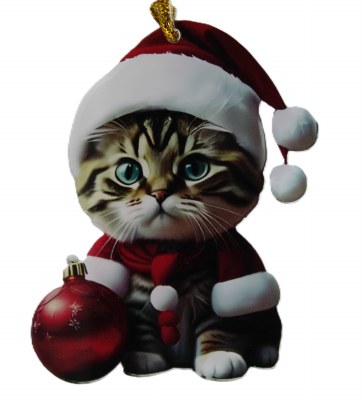 RED BALL CAT