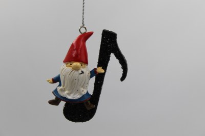 EIGHTH  GNOME