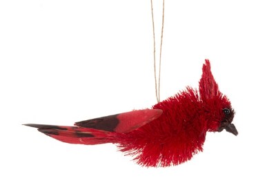 BRUSH CARDINAL