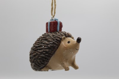 HEDGEHOG