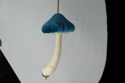 BLUE MUSHROOM