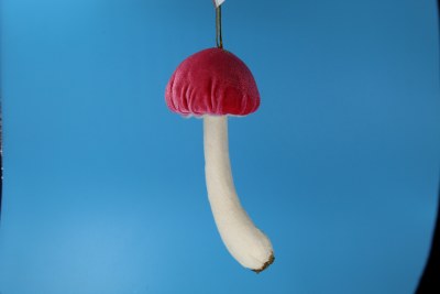 DARK PINK MUSHROOM