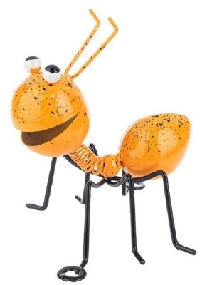 ORANGE ANT