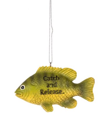FISH WITH "CATCH AND RELEASE"