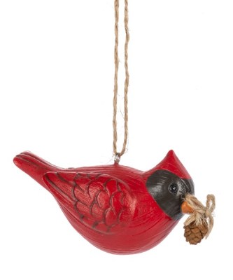 CARDINAL HOLDING PINECONE
