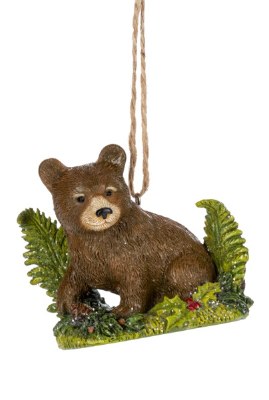 BEAR CUB BETWEEN FERNS