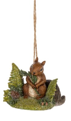 SQUIRREL BETWEEN FERNS