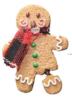 GINGERBREAD COOKIE CHEER