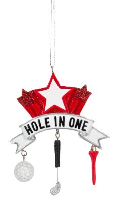 HOLE IN ONE